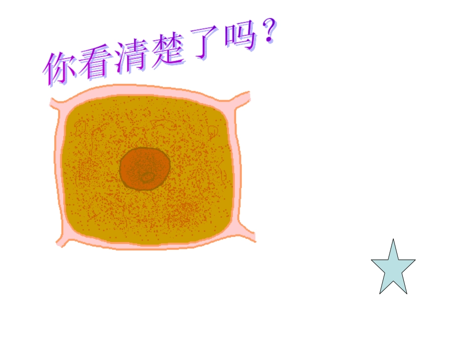 细胞的分裂和分化_第3页