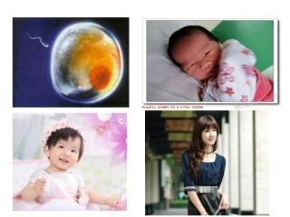 细胞的分裂和分化