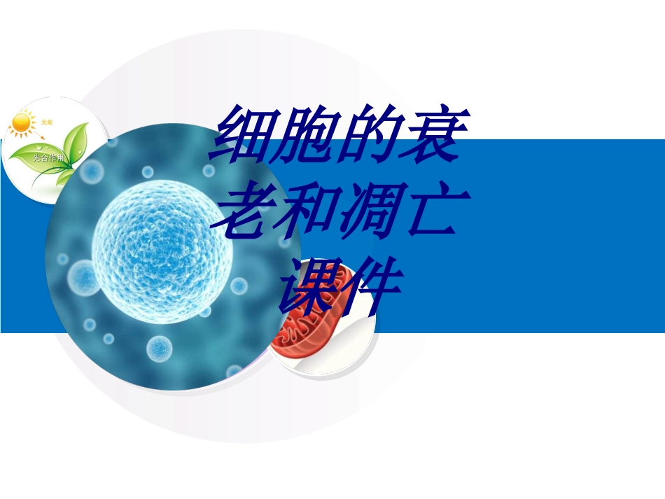 细胞的衰老和凋亡课件优质课件_第1页