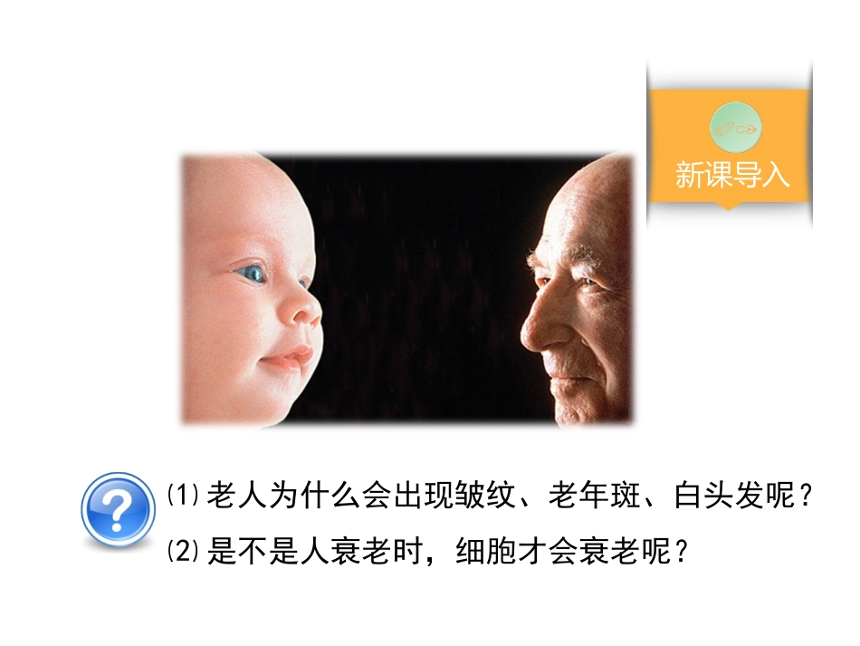 细胞的衰老和凋亡课件优质课件_第3页