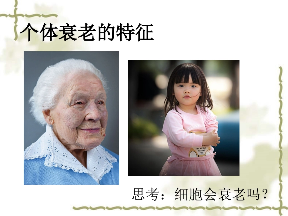 细胞的衰老和死亡共_第3页