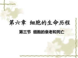 细胞的衰老和死亡共