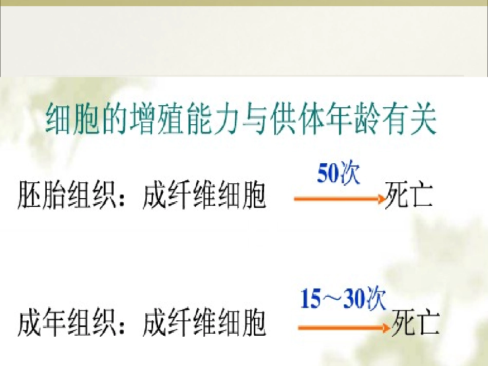 细胞生物学细胞衰老_第3页