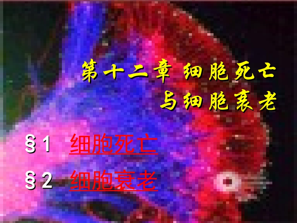 细胞生物学细胞死亡与细胞衰老_第3页