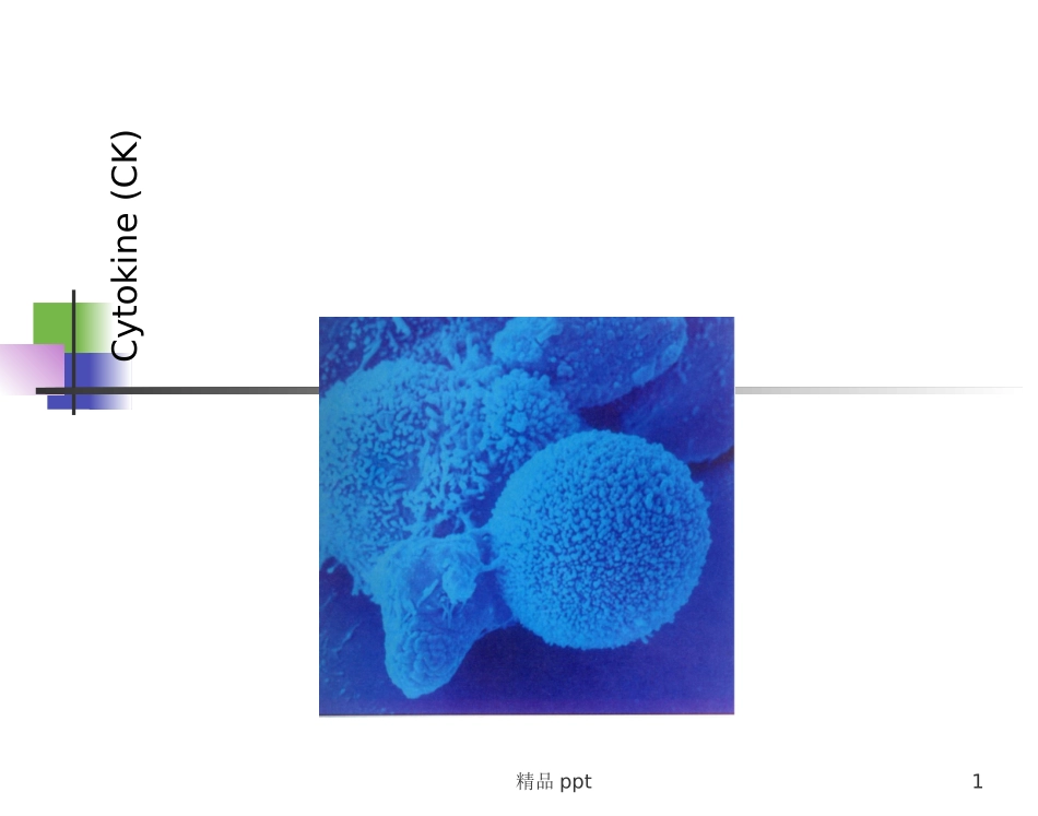 细胞因子第二章_第1页
