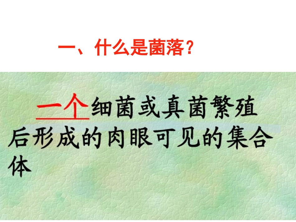 细菌和真菌复习_第2页