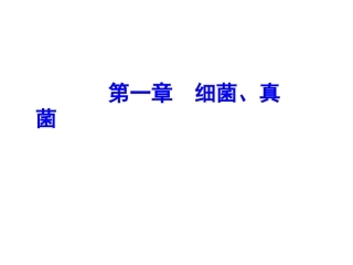 细菌和真菌复习