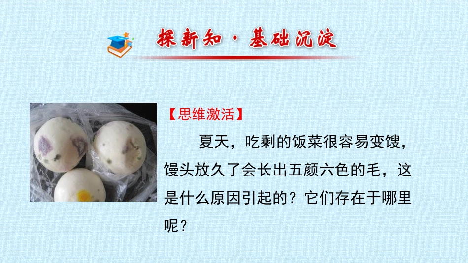 细菌和真菌复习课件_第3页