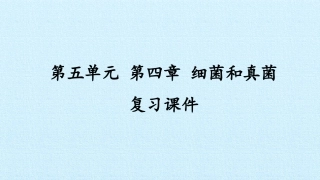 细菌和真菌复习课件