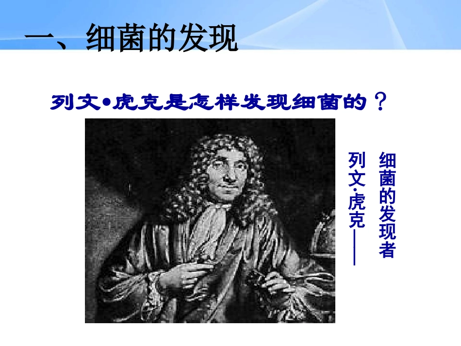 细菌细菌和真菌课件_第2页