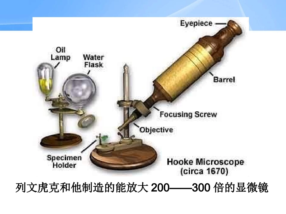 细菌细菌和真菌课件_第3页