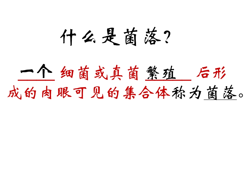 细菌与真菌复习课件_第2页