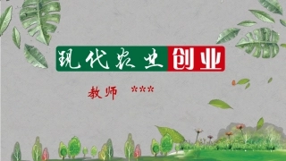 现代农业创业农业创业项目的实施