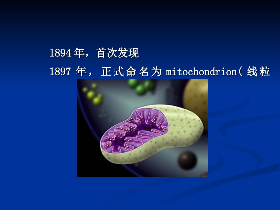 线粒体遗传病_第3页