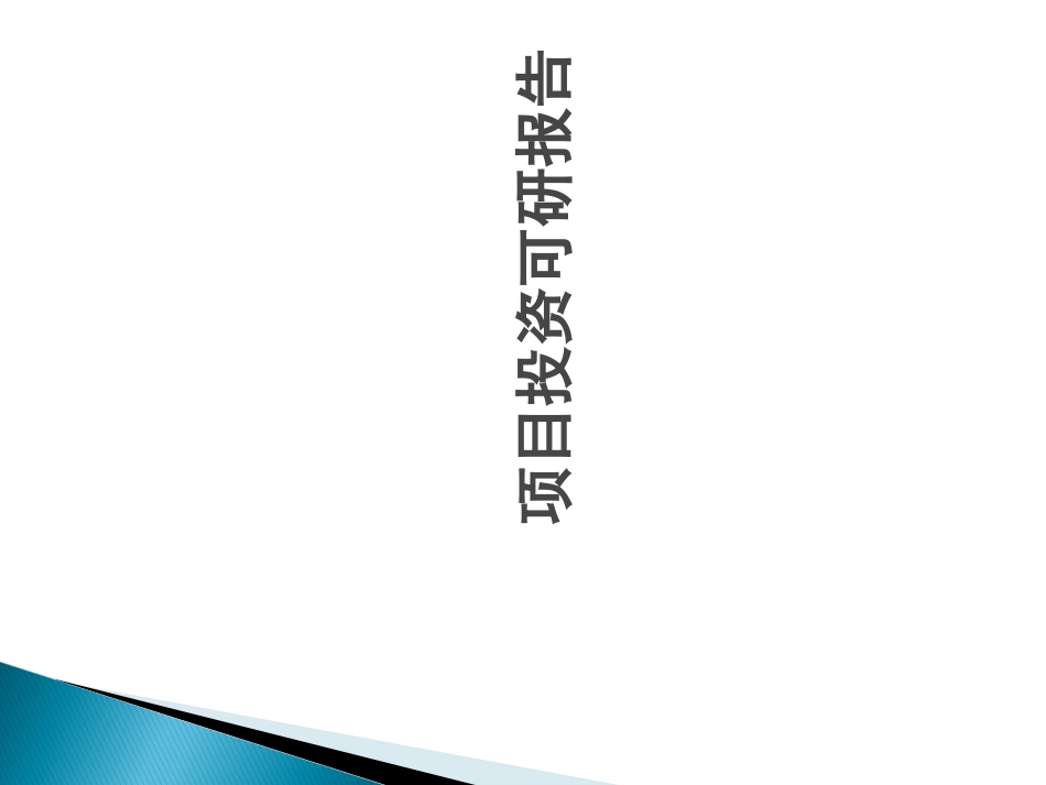 项目投资可行性报告报告完整版课件_第1页