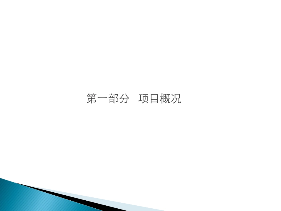 项目投资可行性报告报告完整版课件_第3页