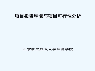 项目投资可行性分析