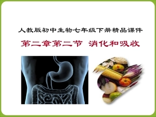 消化和吸收课件