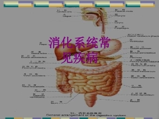 消化系统常见疾病优质课件