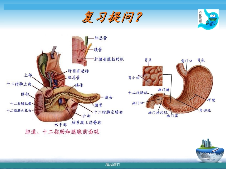消化性溃疡病人的护理评估讲座_第3页