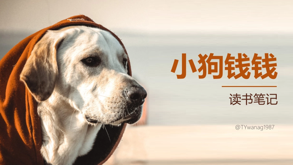 小狗钱钱读书笔记_第1页