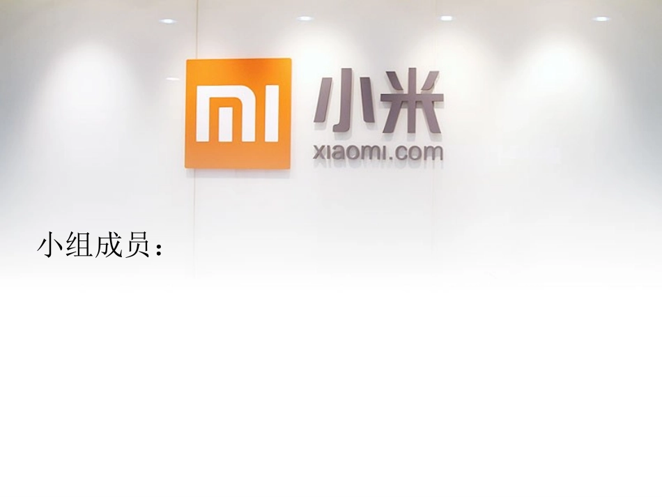 小米电子商务战略的规划分析_第2页