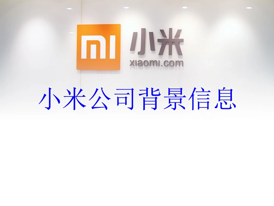 小米电子商务战略的规划分析_第3页