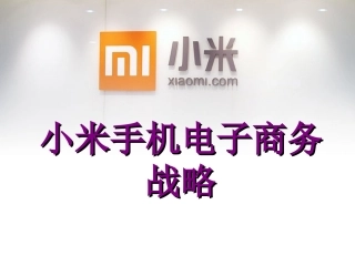 小米电子商务战略的规划分析