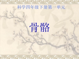 小四年级科学课件骨骼