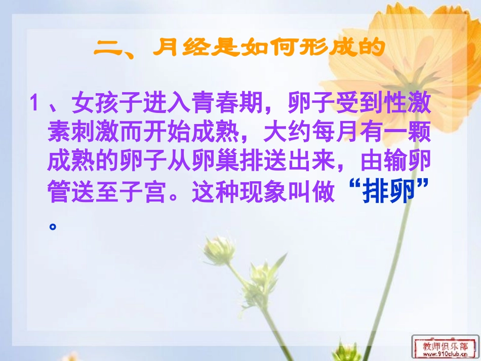 小学女生生青春期心理健康教育课件_第3页