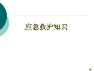 小学生应急救护知识培训