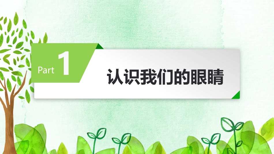 小学生幼儿园爱护眼睛保护视力预防近视课件_第3页