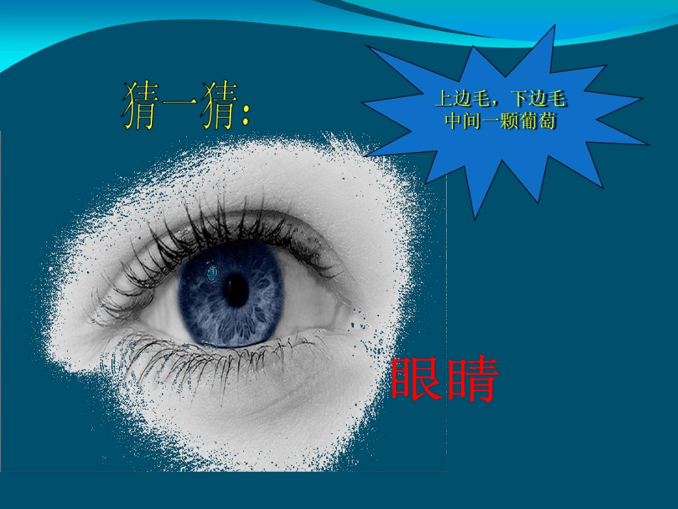 小学生预防近视公开课课件_第1页