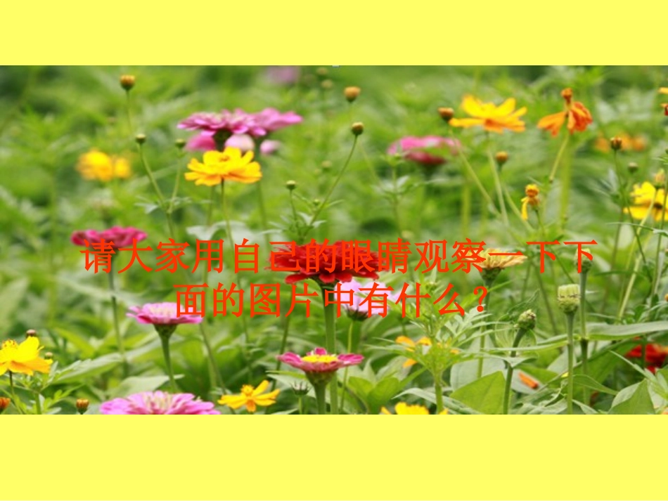 小学体育和健康教育课程保护眼睛预防近视精品课件_第3页