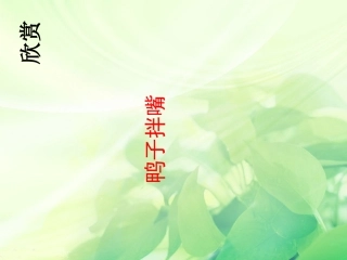 小学音乐鸭子拌嘴片段