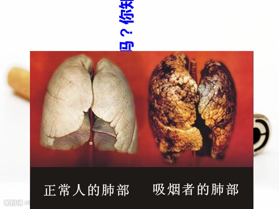 小学主题班会吸烟有害健康课件_第1页