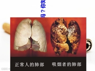 小学主题班会吸烟有害健康课件
