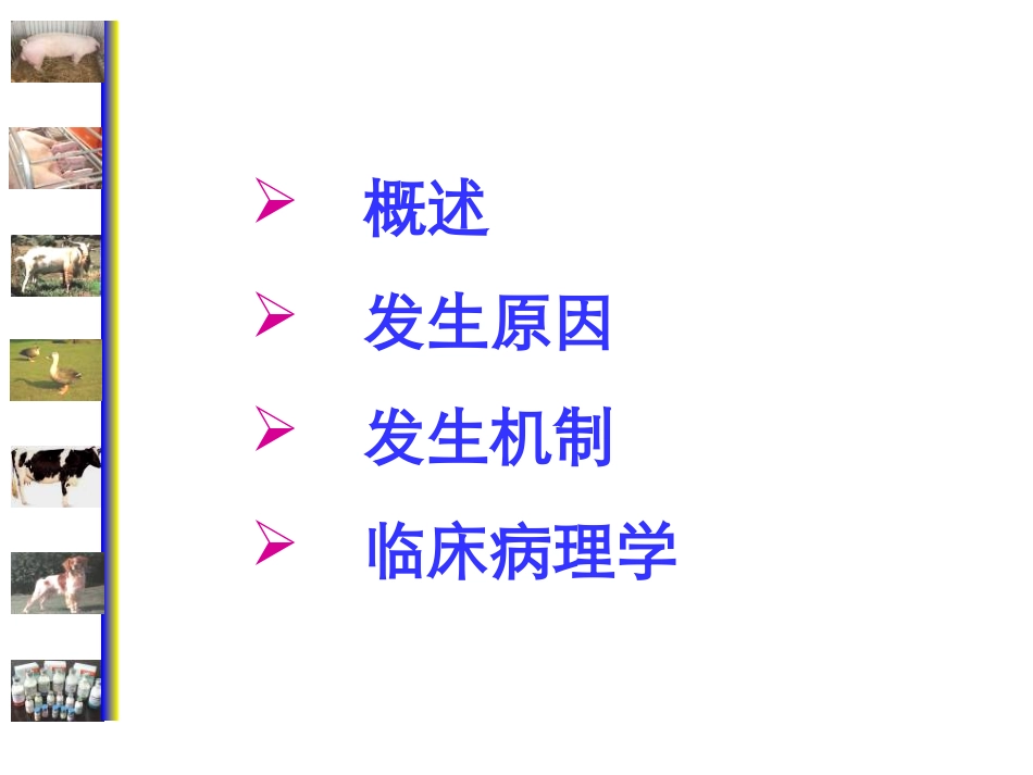 心功能不全课件_第2页