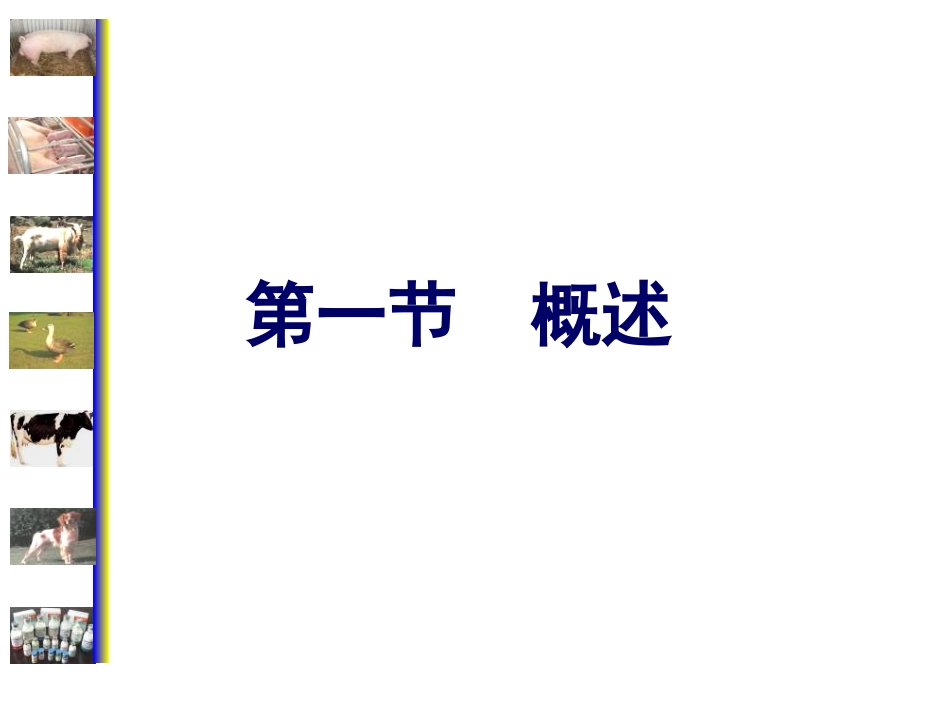 心功能不全课件_第3页