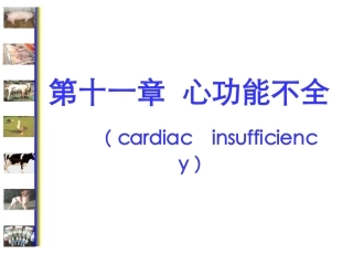 心功能不全课件