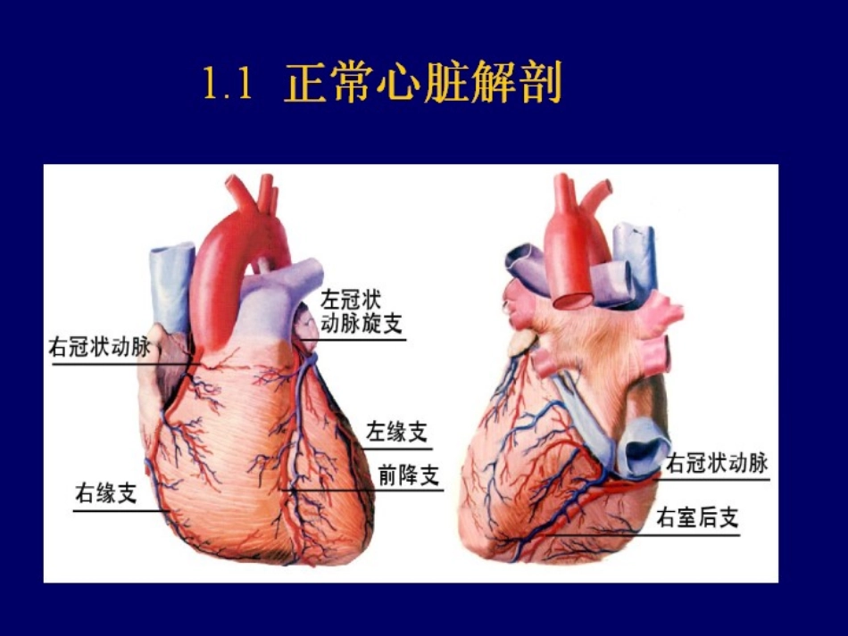心力衰竭培训教学课件_第3页