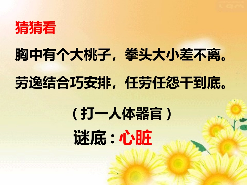 心脏的结构和功能_第2页