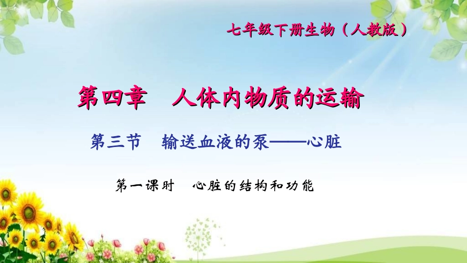 心脏的结构和功能练习题课件_第1页