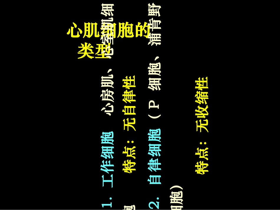 心脏的生物电活动_第3页