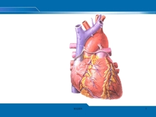 心脏评估课件