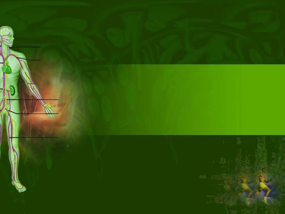 心脏说课解析_第2页