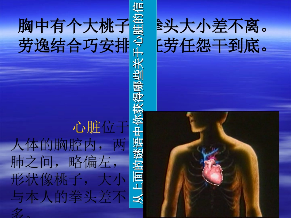 心脏血液循环讲座_第2页