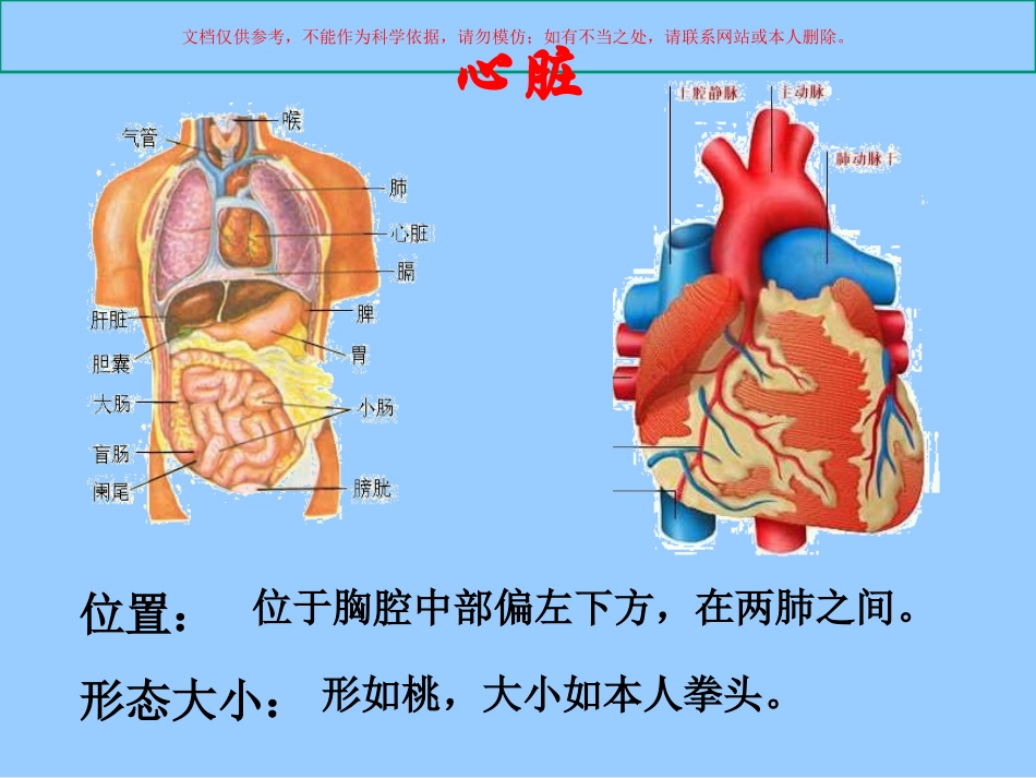 心脏血液循环课件_第1页