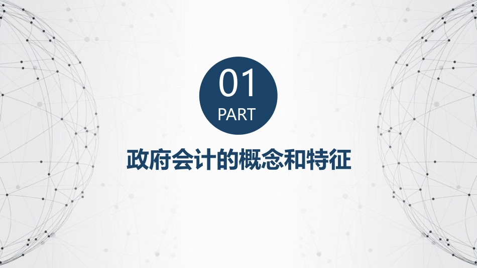 新编政府会计政府会计概述_第3页