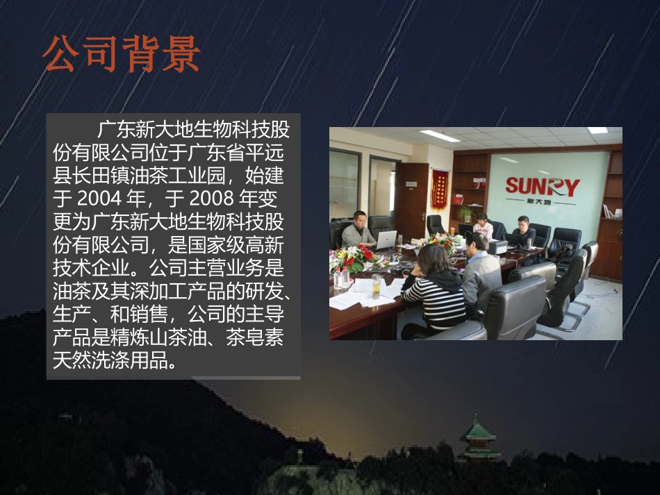 新大地财务造假分析_第3页